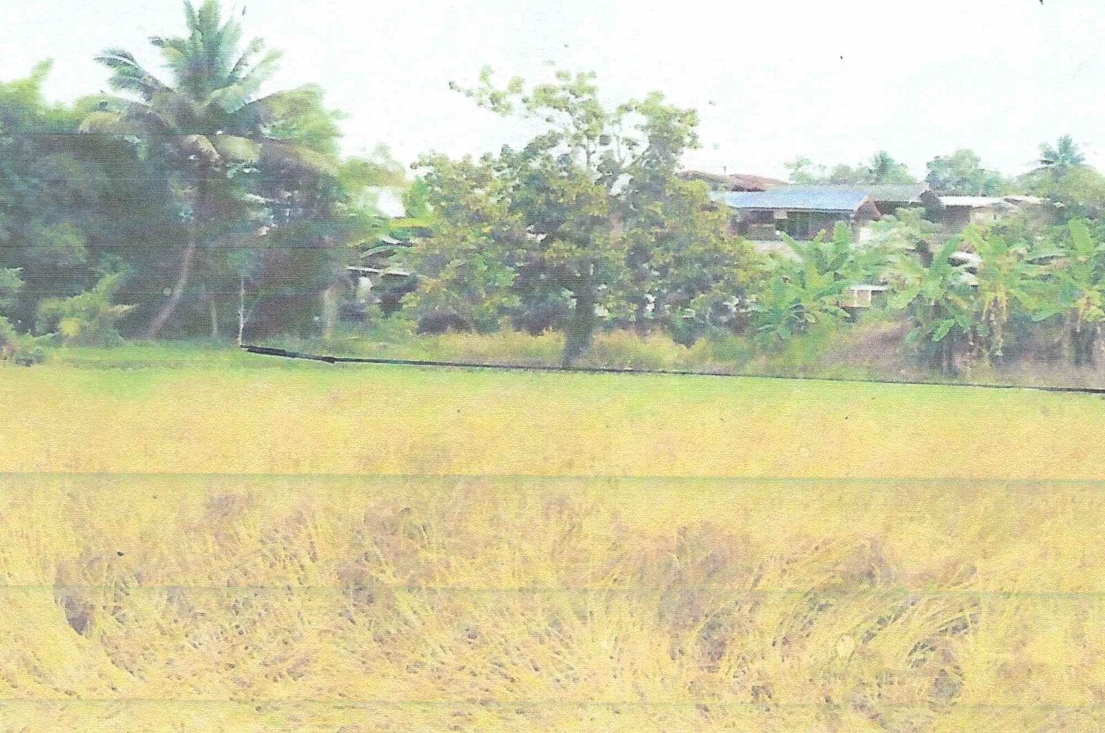 ที่ดินว่างเปล่า โฉนดเลขที่ 68278