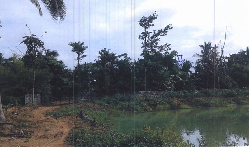 ที่ดินว่างเปล่า โฉนดเลขที่ 4617